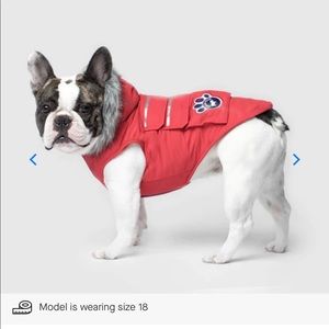 Canada Pooch Everest Explorer Jacket sz12